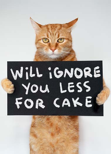 Ignore Cake Funny    A funny birthday card of a cat holding a sign that says they will ignore you less for cake. | happy birthday cake ignore sign funny humorous cat feline I won't ignore you on your Birthday... Especially if there's cake.